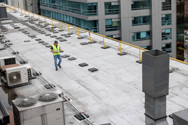 Best Roof Insulation Installation  in Oakwood Hls, IL