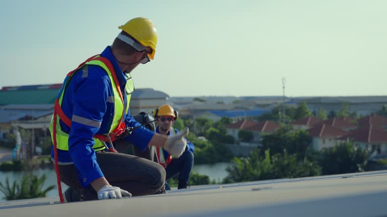 Best Rubber Roofing (EPDM, TPO)  in Oakwood Hls, IL